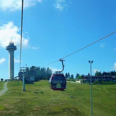Fewo E am Kurpark Willingen  Bagian luar foto